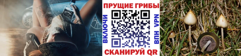 Галлюциногенные грибы мицелий Обоянь